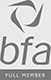 BFAFullLog.jpg
