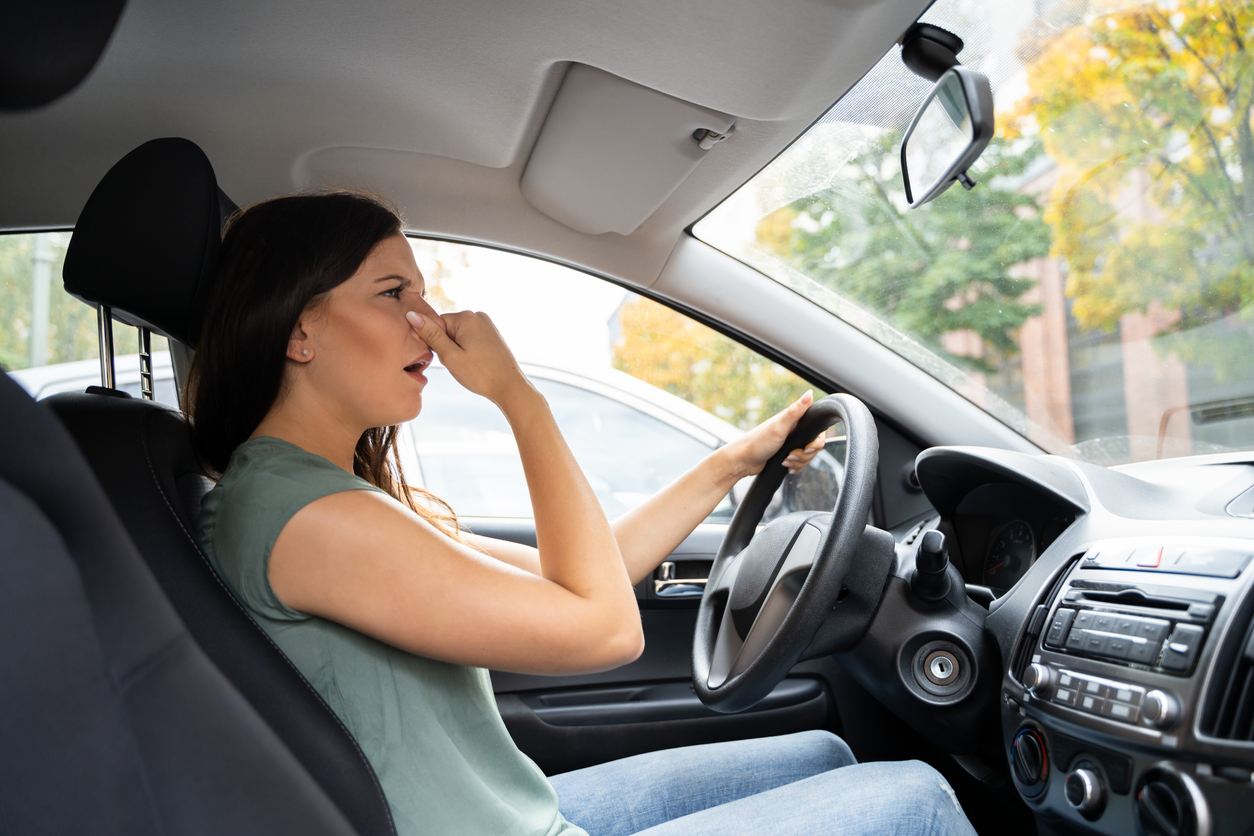 How To Get Skunk Smell Out Of Car Vents